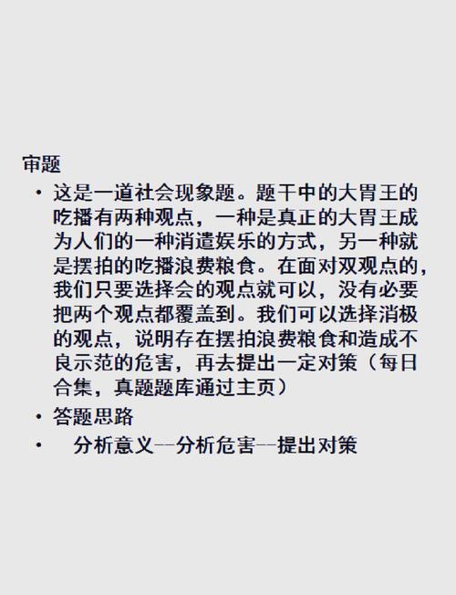  网通最大私服：现象剖析与多面审视